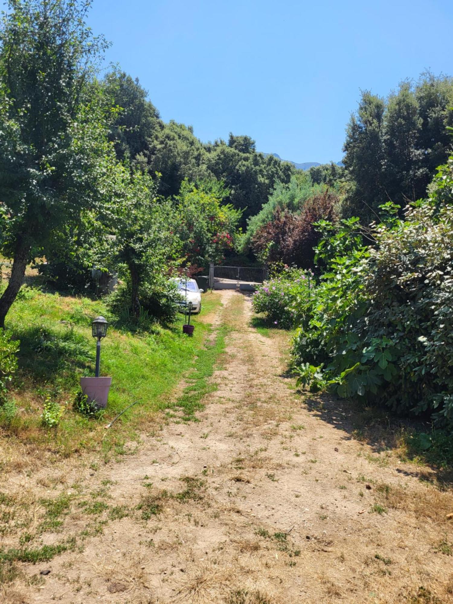 Studio A La Campagne Ucciani Dış mekan fotoğraf